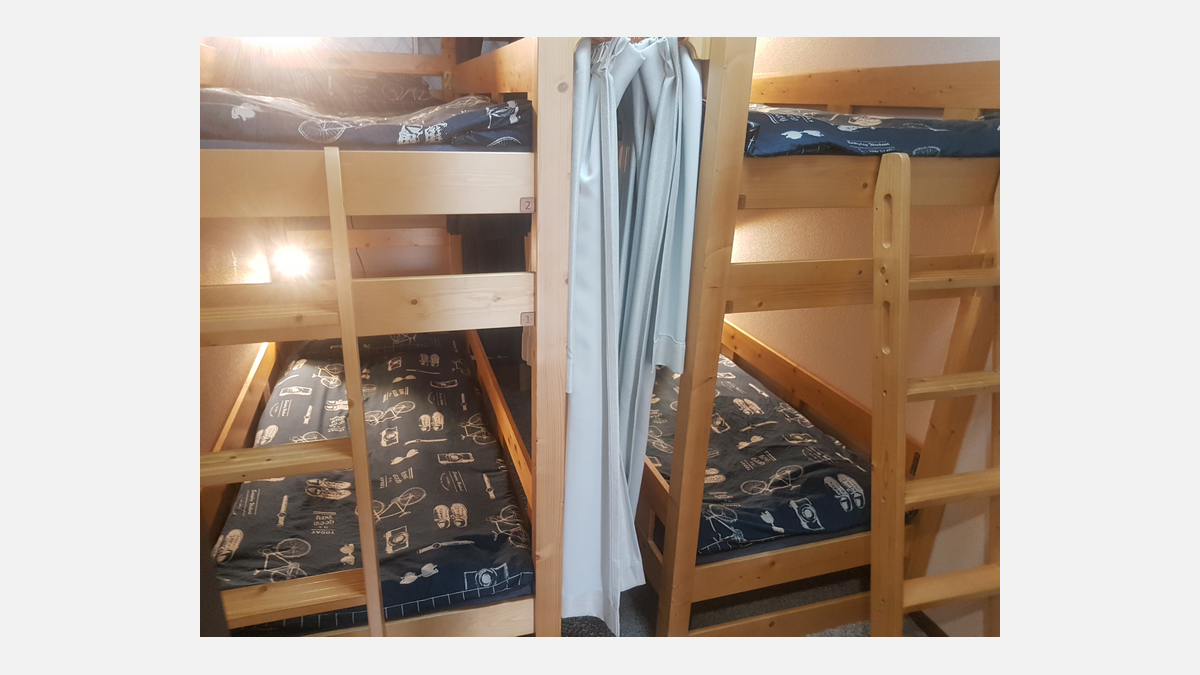 Tanuki Noir Tanuki Noir