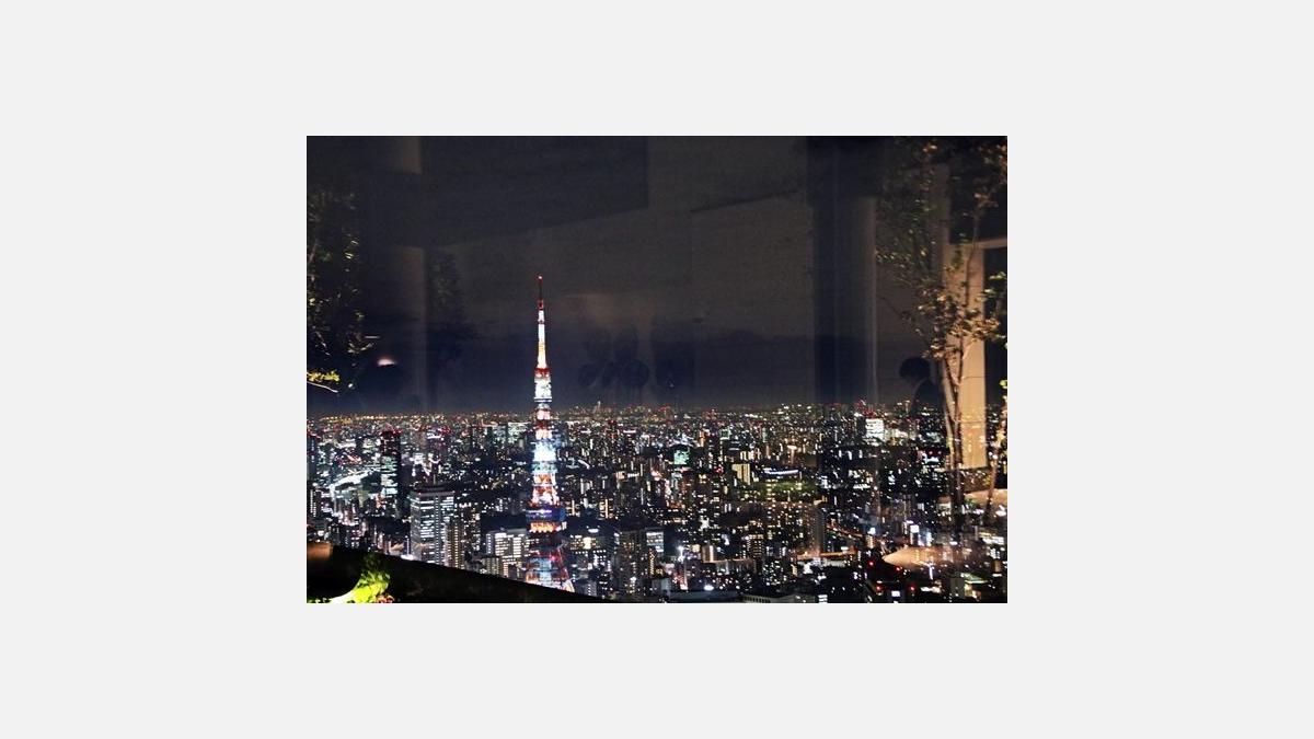 Une vue splendide sur la tour de Tokyo et le paysage urbain de la capitale