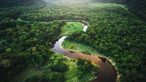 Schneider-Electric-net-zero-French-Chamber-of-Great-Britain