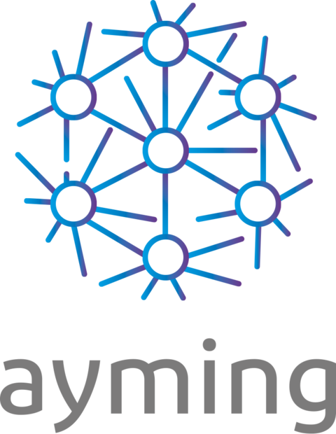 AYMING POLSKA SP. Z O.O.