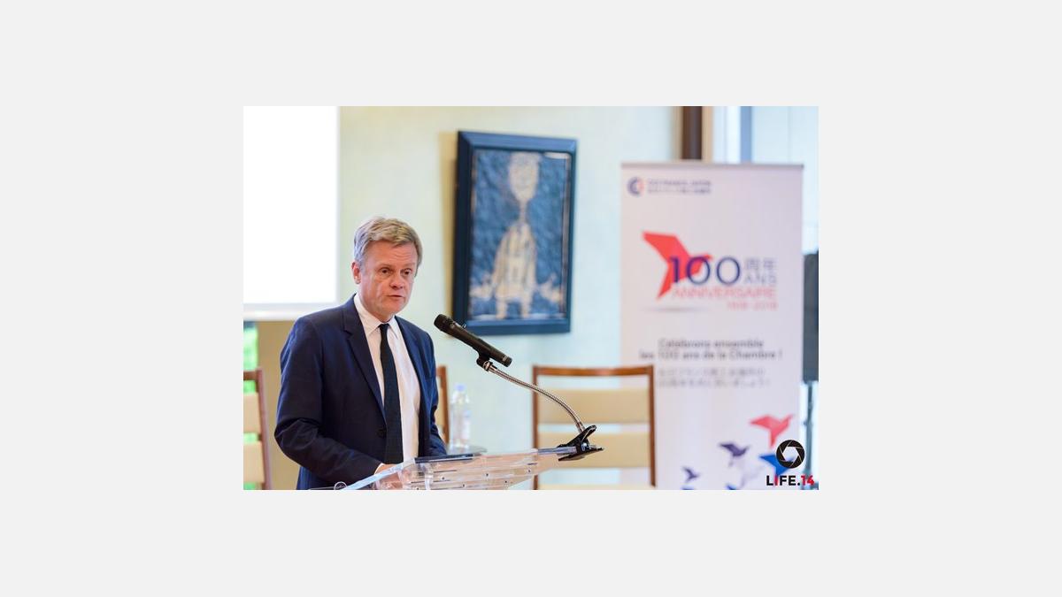 Laurent Pic, Ambassadeur de France au Japon