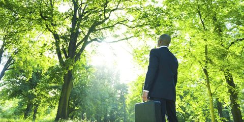 Les "entreprises vertes” augmentent en Colombie : il s’agit d’un sujet de différenciation et de compétitivité sur le plan national et international.