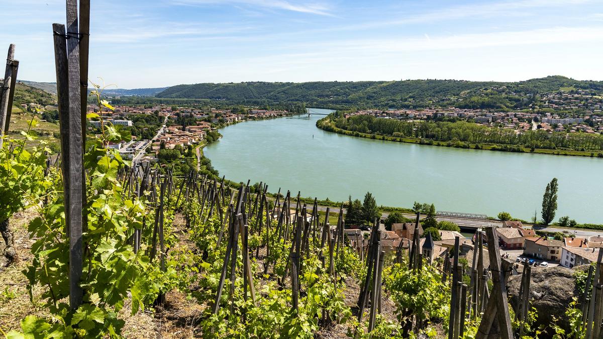 © Michel Peres © Michel Peres