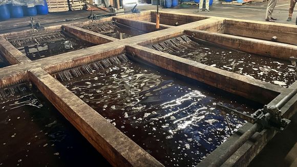 革を浸ける 革を浸ける