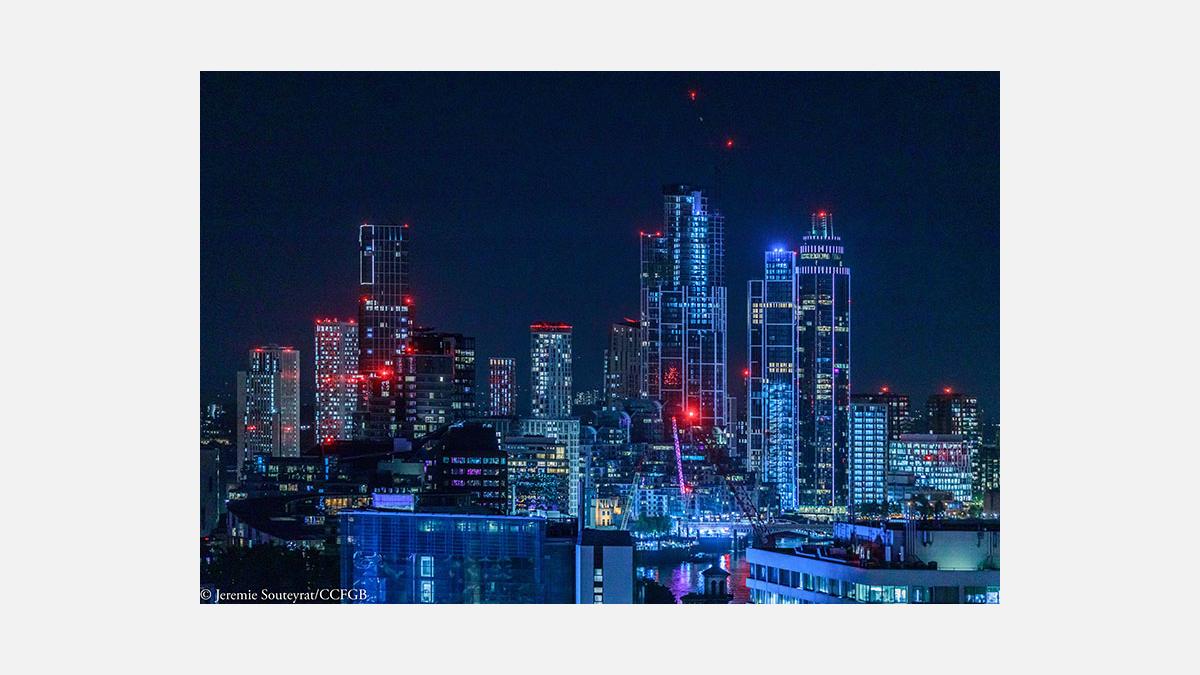 Net-Zero-Leadership-Programme-launch-Business-Carbon-Neutrality-and-Purpose-the-French-Chamber