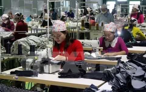 Vietnam’s workforce to reach over 54.4 million in Q2