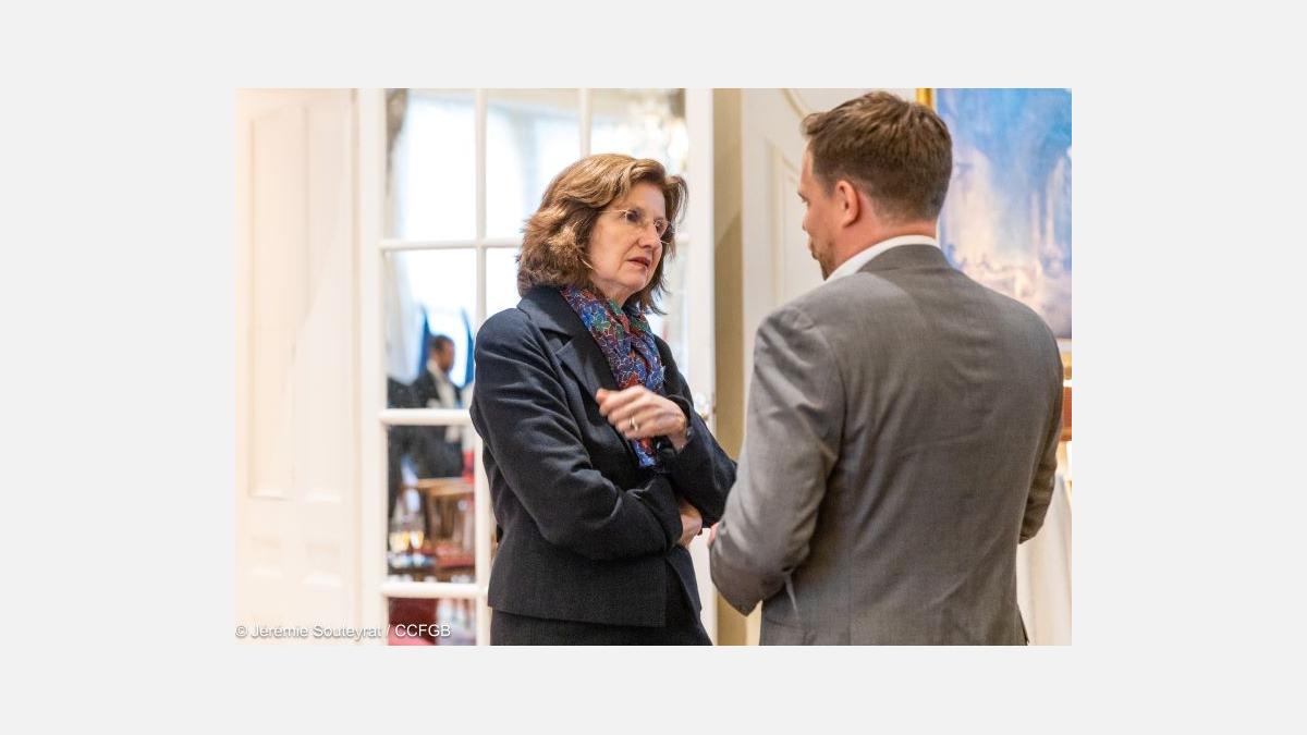 Ambassadors-Brief-French-Chamber-of-Great-Britain