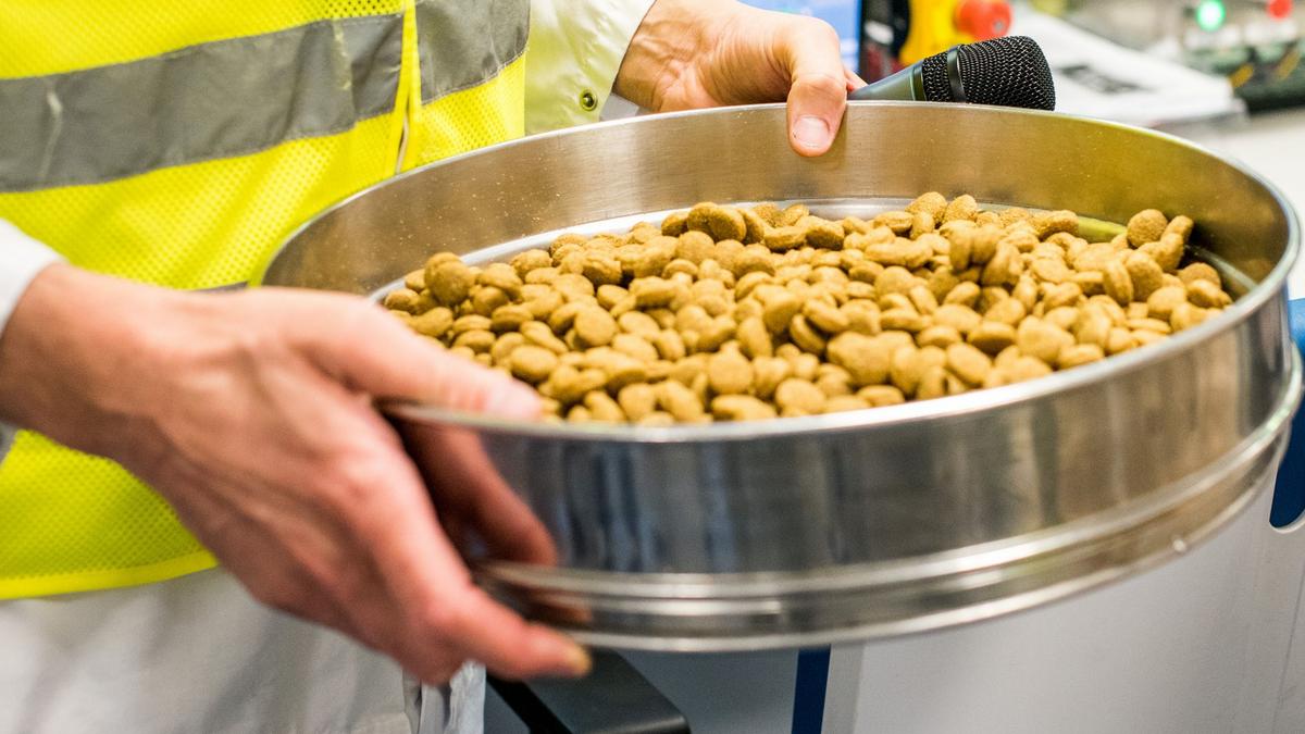 Randes Vous Biznesu, Royal Canin, Krakow-Niepolomice