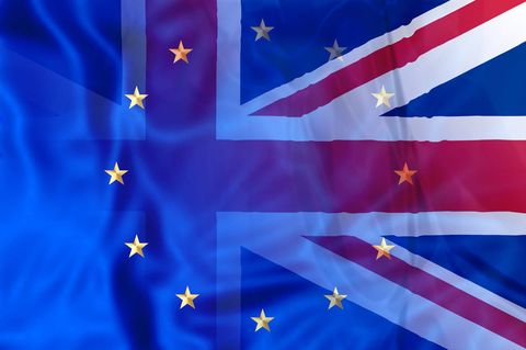Brexit-survey-consequences-French-Chamber-of-Great-Britain
