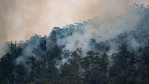 Intergovernmental-Panel-on-Climate-Change-French-Chamber-of-Great-Britain
