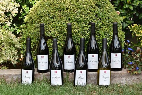 Agamy wins gold medal in the Berlin Wine Trophy and will participate in Asia Wine Trophy Agamy wins gold medal in the Berlin Wine Trophy and will participate in Asia Wine Trophy