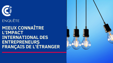 Enquête - Mieux connaître l'impact international des Entrepreneurs Français de l’Étranger Enquête - Mieux connaître l'impact international des Entrepreneurs Français de l’Étranger