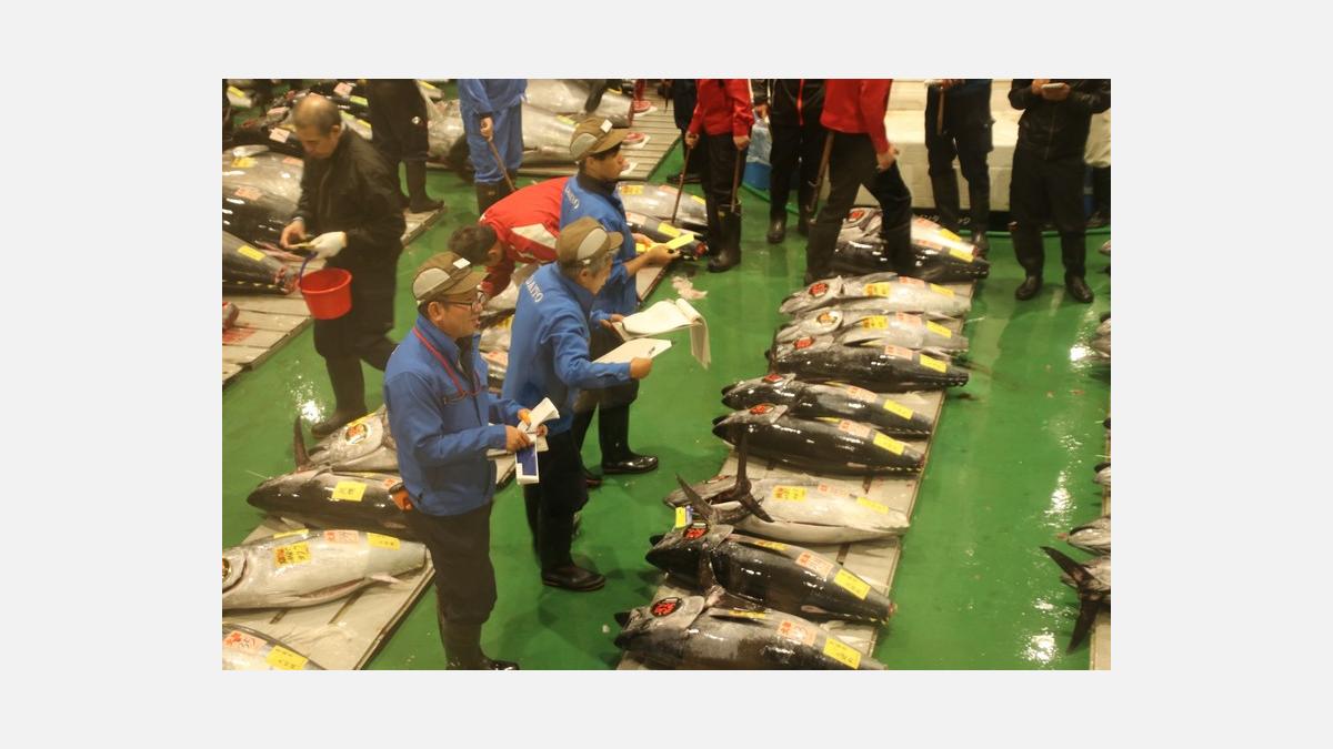 Mission Ikejime Mission Ikejime