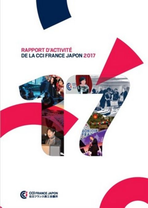 Rapport d'activité 17 Rapport d'activité 17