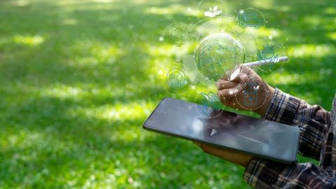 Singapore: F&B Sector Leveraging AI for Sustainable Growth