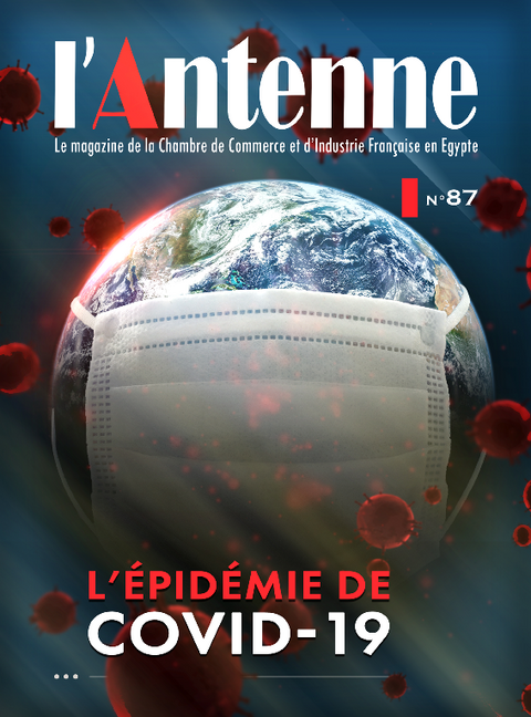 L'ÉPIDÉMIE DE COVID-19