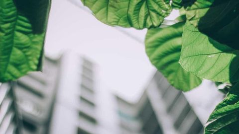 APAC continues to advance sustainable finance