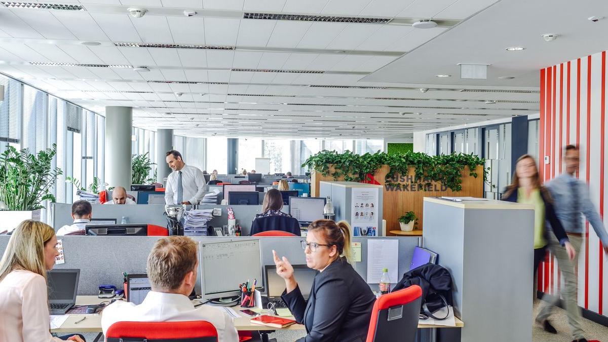 cushman_wakefield_office