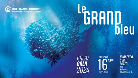 MFKI_Gala_2024_banner