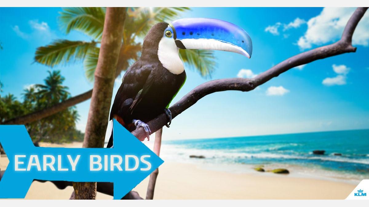 Promocja KLM first minute