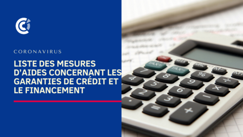 Liste les mesures d’aides concernant les garanties de crédit et le financement Liste les mesures d’aides concernant les garanties de crédit et le financement