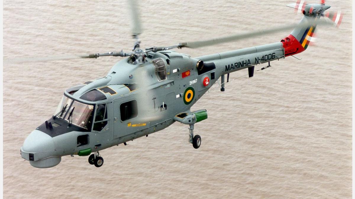 Lynx-069_Brazilian_N-4006