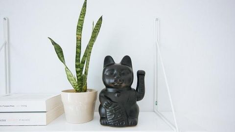 New members New members