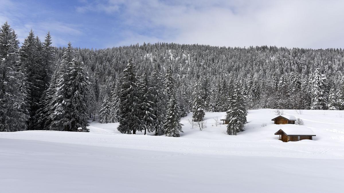 © Michel Peres © Michel Peres