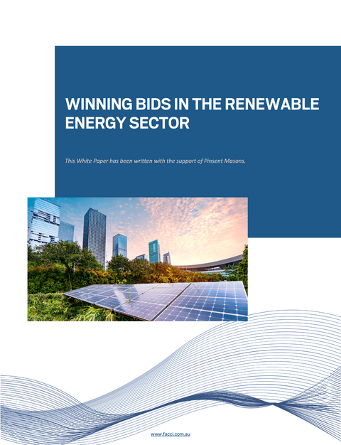 White Paper - Winning Bids in the Renewable Energy Sector