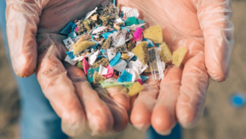 the-seacleeaners-conference-cop26-supported-by-french-chamber-of-great-britain