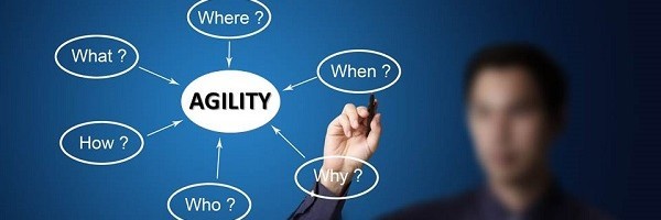 Agility: why having this capability in your organization is so critical Agility: why having this capability in your organization is so critical