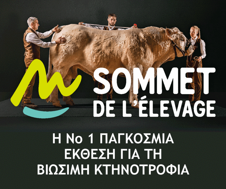 [Translate to Grec:] 