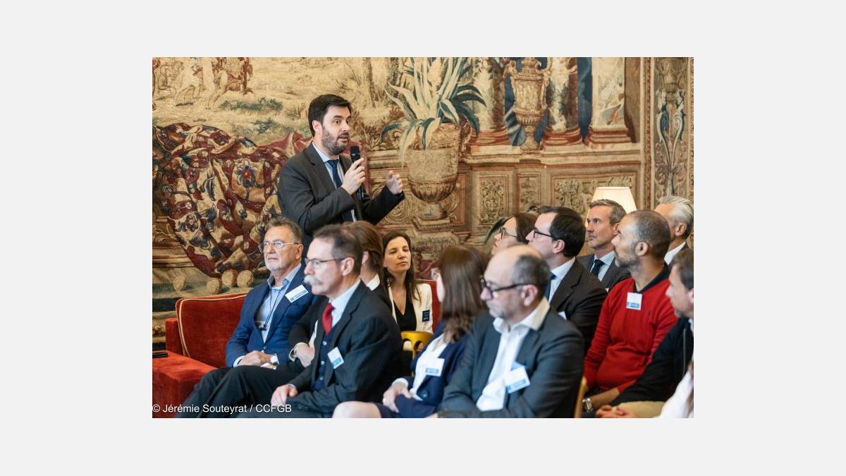 Ambassadors-Brief-French-Chamber-of-Great-Britain