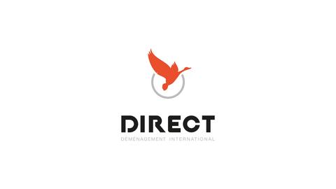 DIRECT DÉMÉNAGEMENT INTERNATIONAL