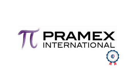 PRAMEX INTERNATIONAL DO BRASIL CONSULTORIA LTDA