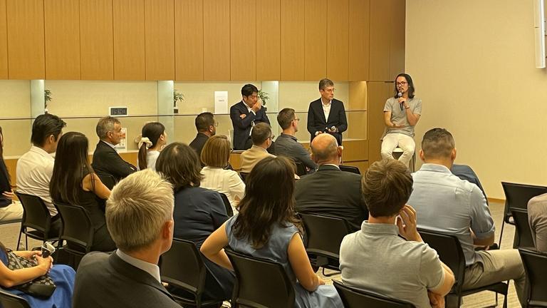 Real-Estate Movements in Japan