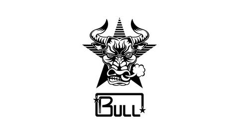 BULL CO., LTD.