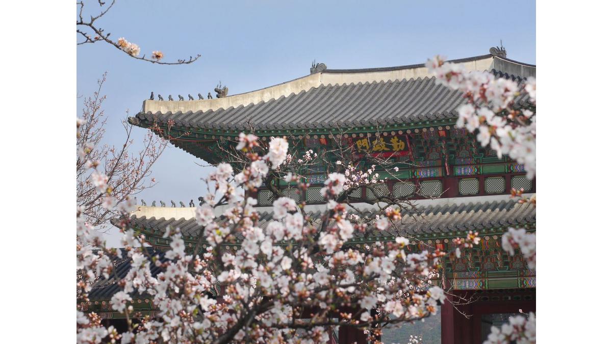 [Translate to Coréen:] 