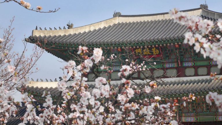 [Translate to Coréen:] 