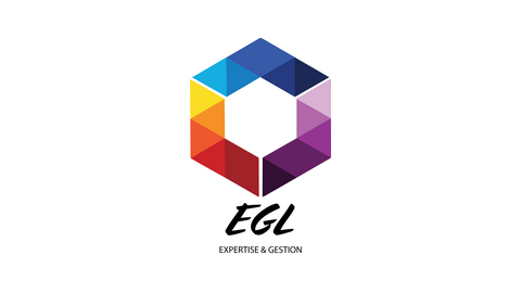 EXPERT ET GESTION