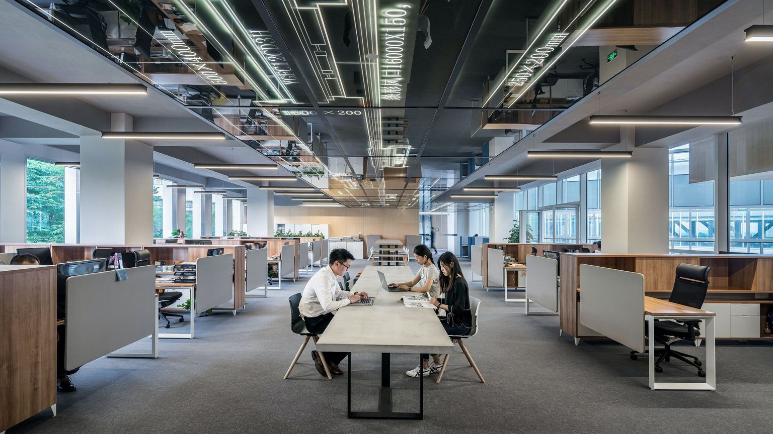 établir*-ltd-French-Chamber-of-Great-Britain