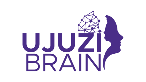 UJUZI BRAIN SARL