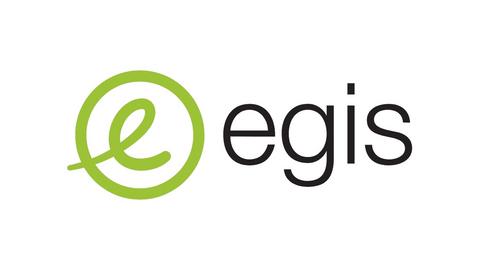 EGIS ENGENHARIA E CONSULTORIA LTDA
