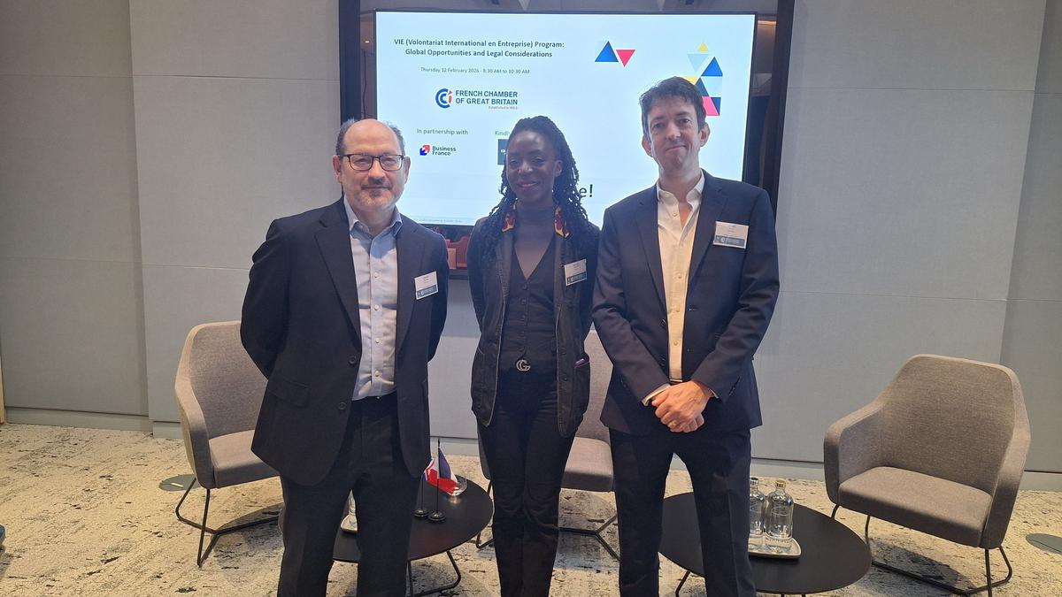 VIE (Volontariat International en Entreprise) Program: Global Opportunities and Legal Considerations