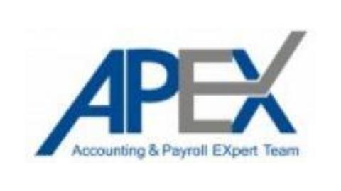 APEX TEAM INTERNATIONAL SRL