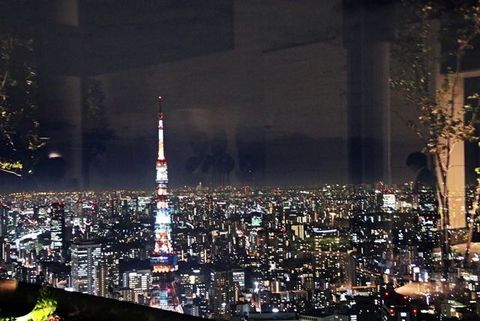 Une vue splendide sur la tour de Tokyo et le paysage urbain de la capitale