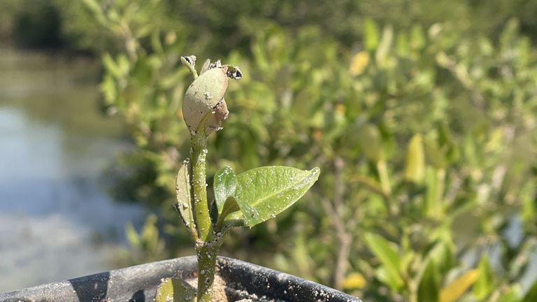 [Translate to Anglais:] 