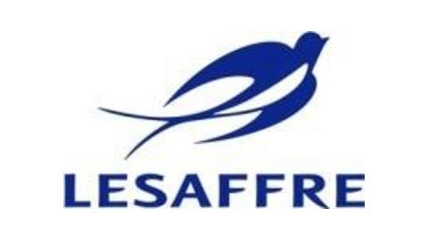 SAF–VIET JOINT VENTURE COMPANY LIMITED.