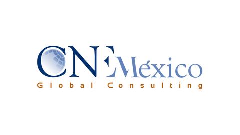 CNE CONSULTORES
