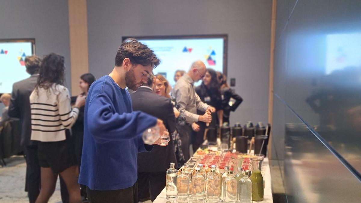 VIE (Volontariat International en Entreprise) Program: Global Opportunities and Legal Considerations